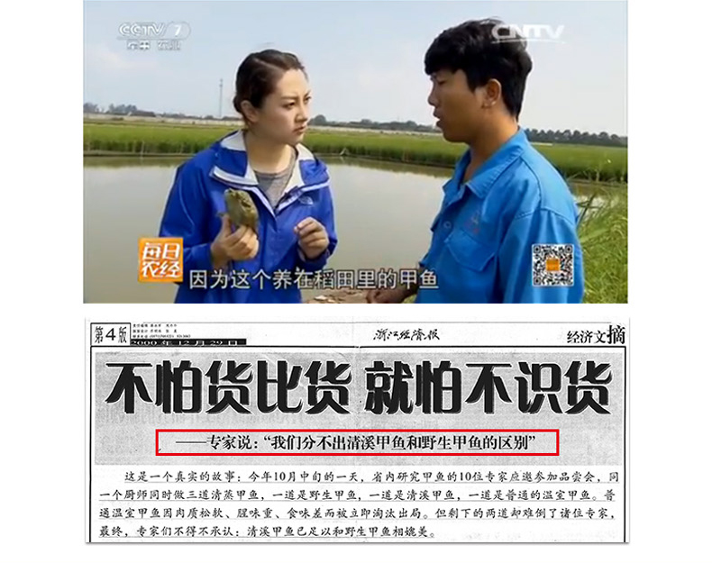 清溪乌鳖10.jpg