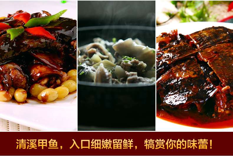 清溪乌鳖2.jpg