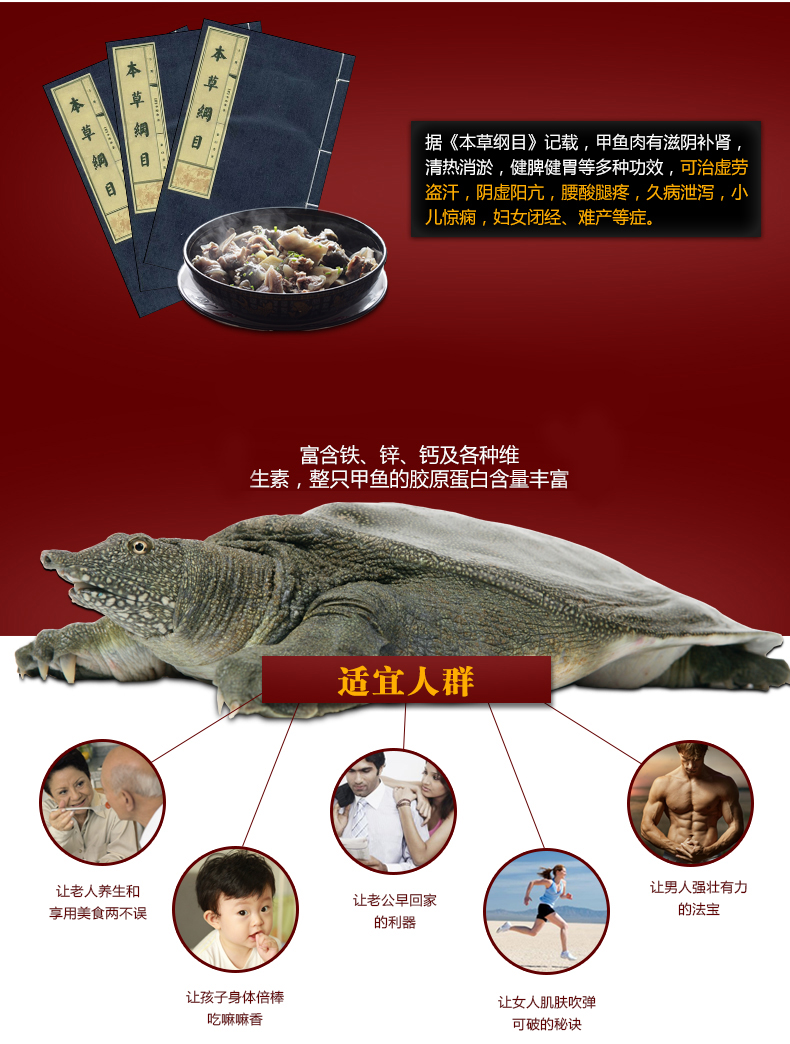 清溪乌鳖5.jpg