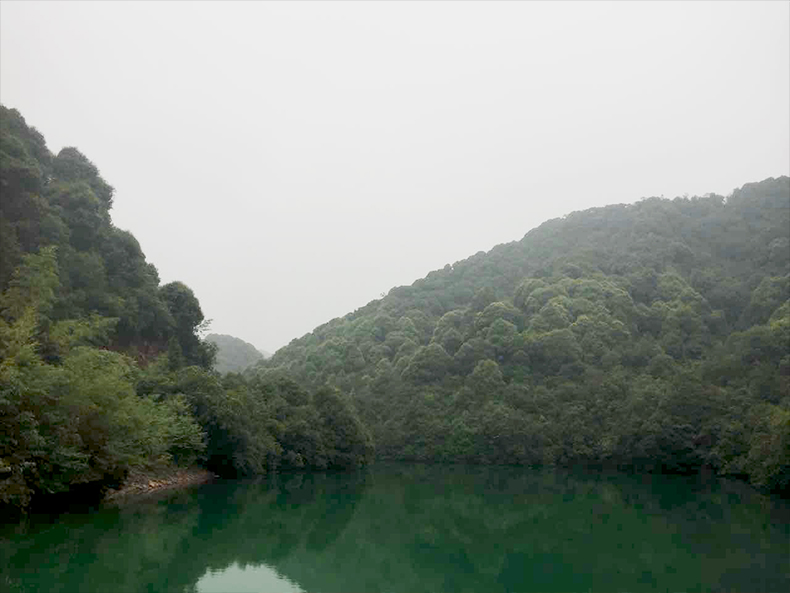 123.jpg