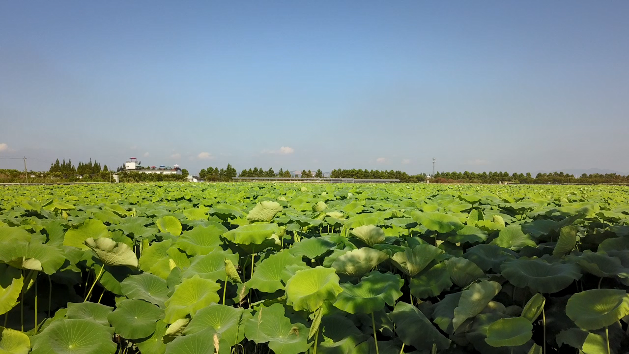微信图片_20191029112404.png