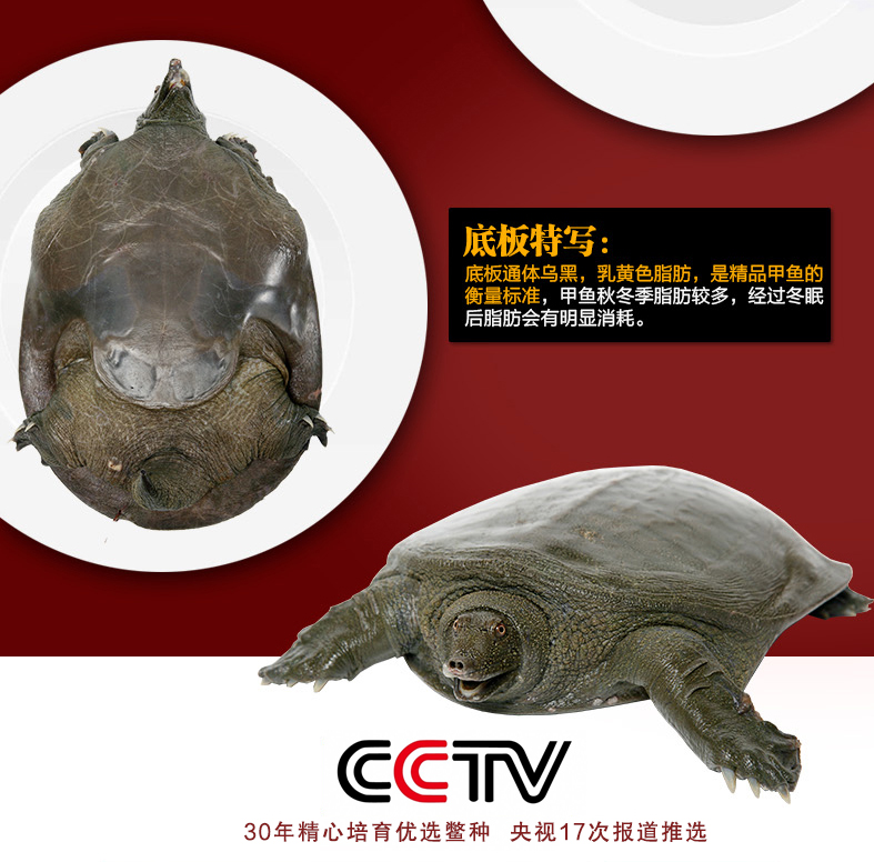 cctv.jpg