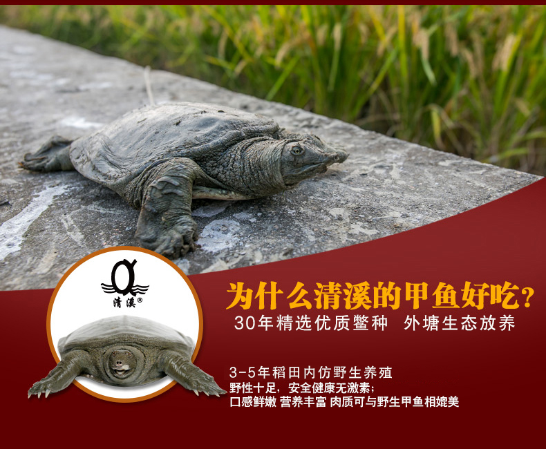 为什么好吃.jpg